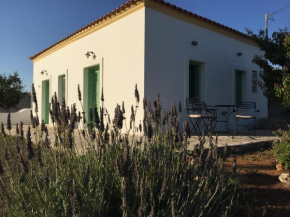 Villa Lemonia - Guest House  Арониадика